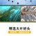 包邮）新鲜海带头盐渍海带厚片海鲜绿色昆布海带丝结海带根