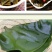 包邮）新鲜海带头盐渍海带厚片海鲜绿色昆布海带丝结海带根