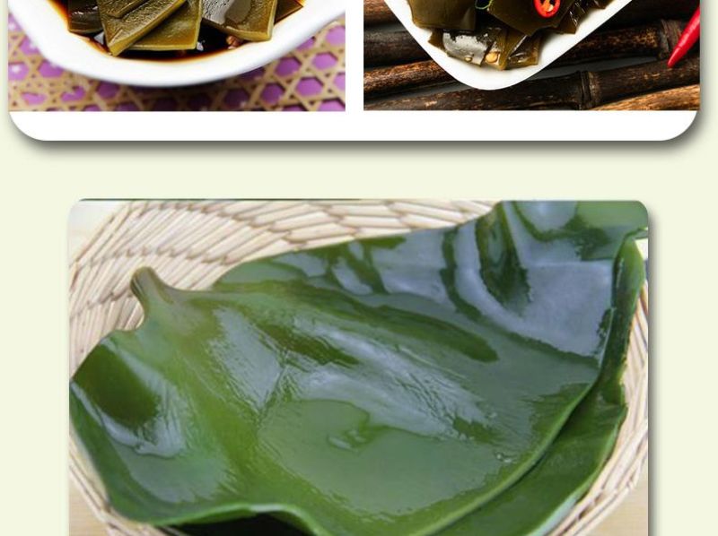 包邮）新鲜海带头盐渍海带厚片海鲜绿色昆布海带丝结海带根
