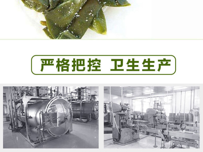 包邮）新鲜海带头盐渍海带厚片海鲜绿色昆布海带丝结海带根