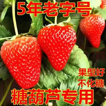 云南现摘双流夏草莓新鲜冰糖葫芦商用批发水果混合混装批发