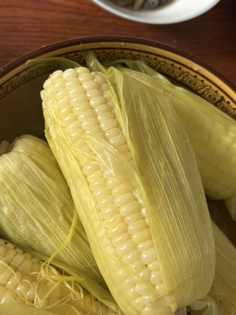 慈溪西三本地小工棚玉米🌽🌽
