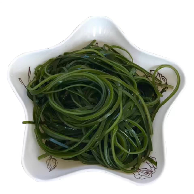 包邮）新鲜海带头盐渍海带厚片海鲜绿色昆布海带丝结海带根