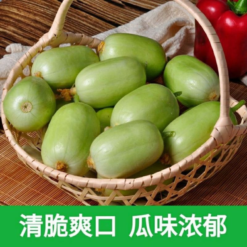 玉女水果黄瓜寿光减脂水果玉女拇指水果黄瓜手指黄瓜应季金童玉女