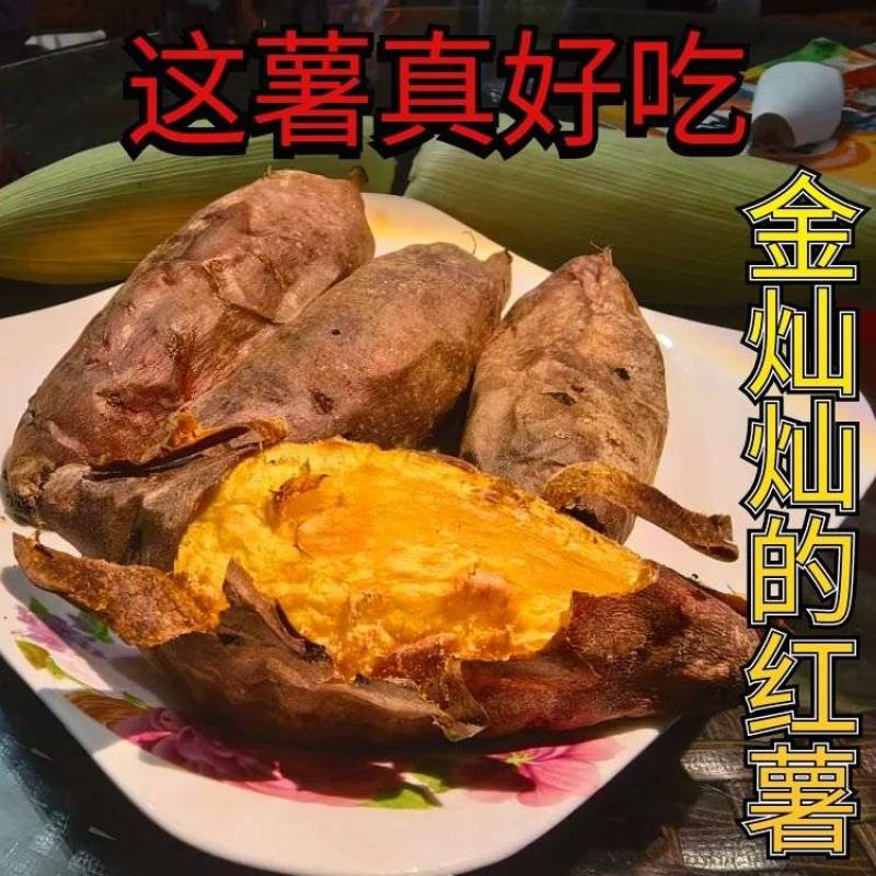 板栗薯，黄金薯，榴莲薯，蜜薯电商一件代发，量大从优