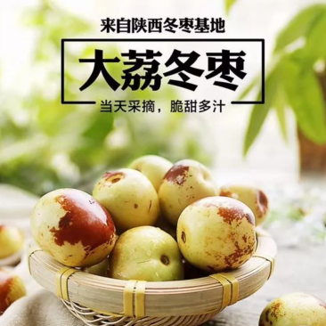 大荔冬枣货源充足量大从优自家种植诚心经营致电联系