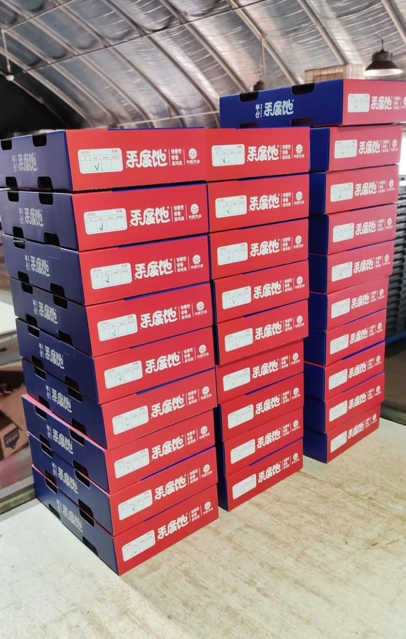 正宗平度玲珑小番茄釜山88圣女果礼盒商超直供