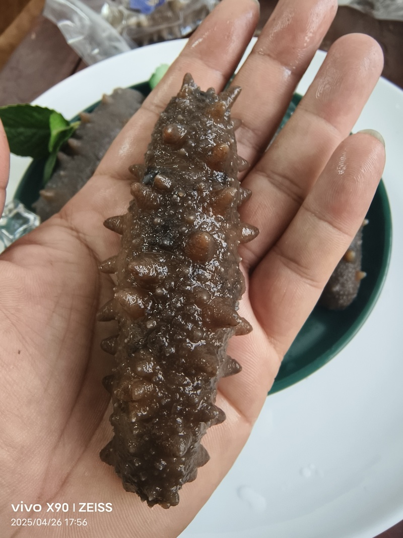 即食海参工厂直供，电商免费入仓支持一件代发