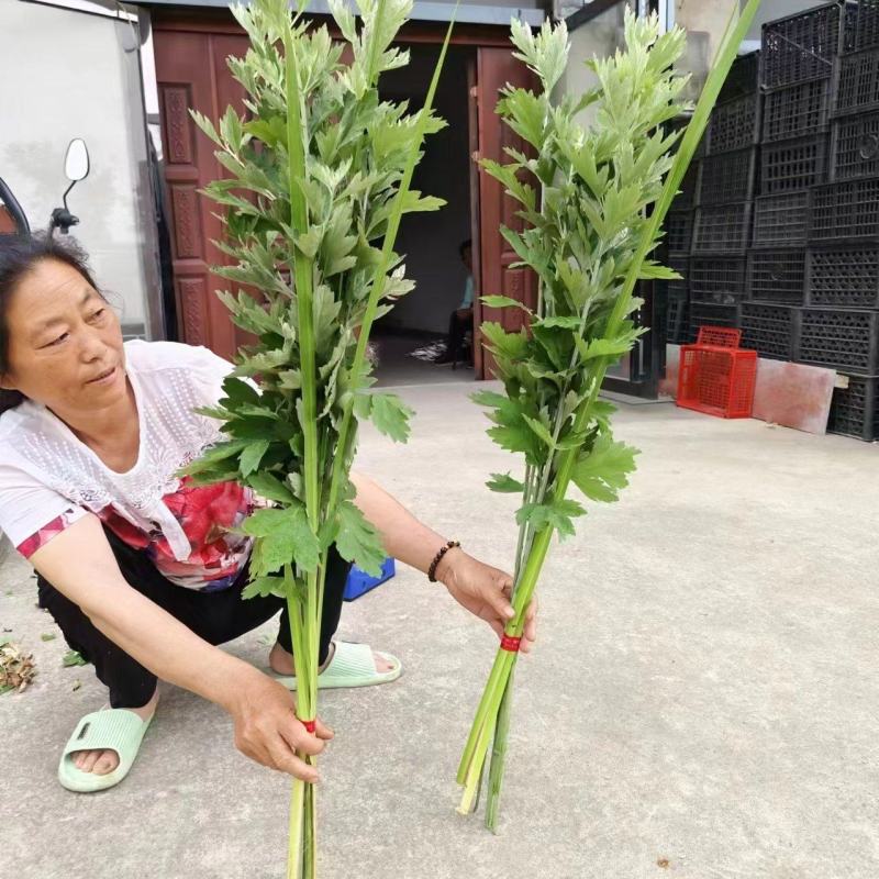 端午艾草花束