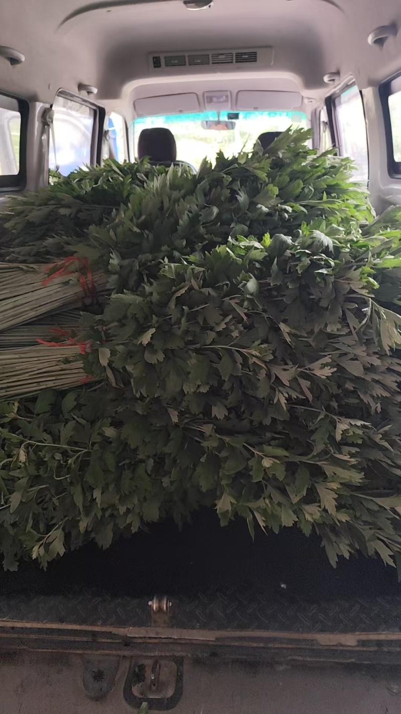 端午艾草花束