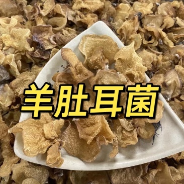 食用菌干货