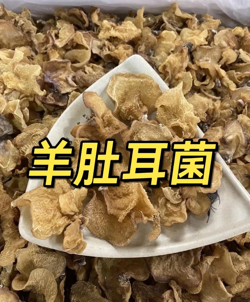 食用菌干货