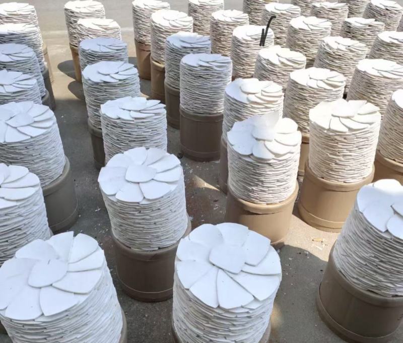 茯苓云苓新货颜色白干度好实体百万销量