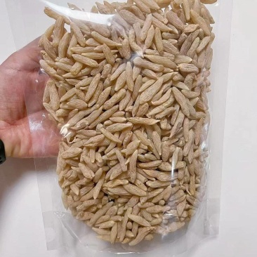 川麦冬饱满肥大颗粒新货颜色好十年信誉广州店