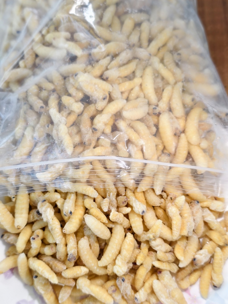 蜂蛹精品一二级蜂蛹厂家直销一手货源规格齐全批发零售都可