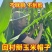 干农活农村玉米地干活专用帽子防护帽防虫防迷眼防刮脸掰玉米苞谷