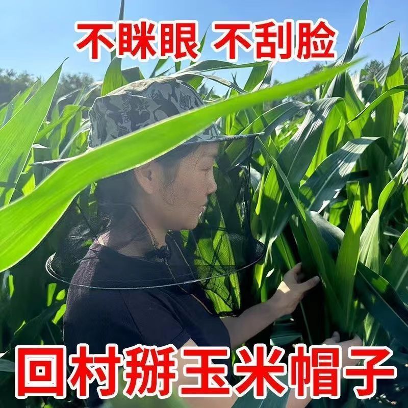 干农活农村玉米地干活专用帽子防护帽防虫防迷眼防刮脸掰玉米苞谷