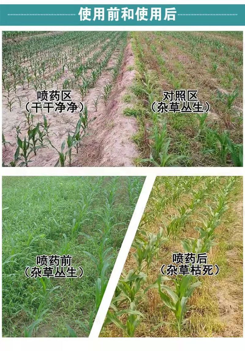 中化4%苯唑草酮玉米苗后除草剂甜玉米糯玉米杂交玉米通用