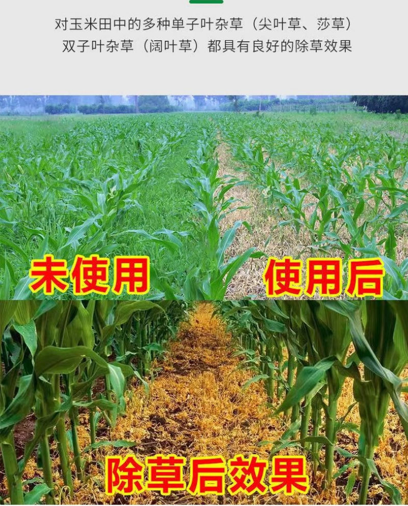 中化4%苯唑草酮玉米苗后除草剂甜玉米糯玉米杂交玉米通用