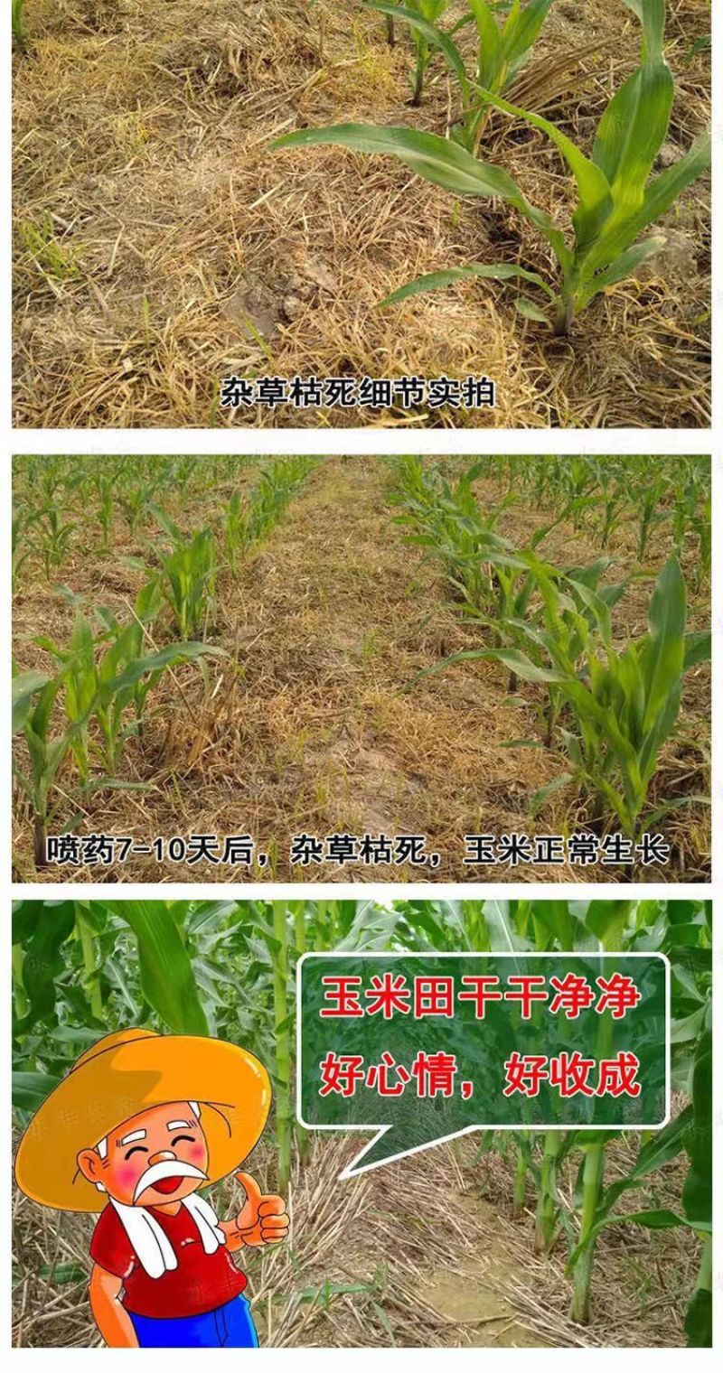 中化4%苯唑草酮玉米苗后除草剂甜玉米糯玉米杂交玉米通用
