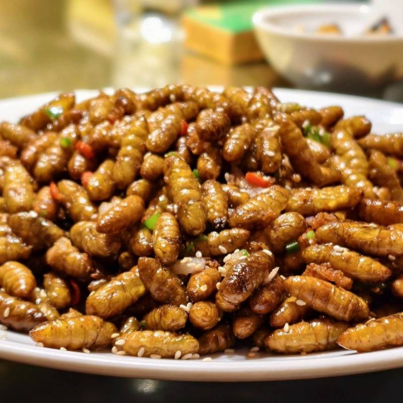 食用蚕蛹优质蛋白对接酒店餐饮烧烤批发零售量大从优