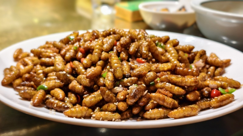 食用蚕蛹优质蛋白对接酒店餐饮烧烤批发零售量大从优