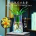 新款有香水味小苍兰花苗杂交兰四季兰迷你室内客厅水培好养绿植带