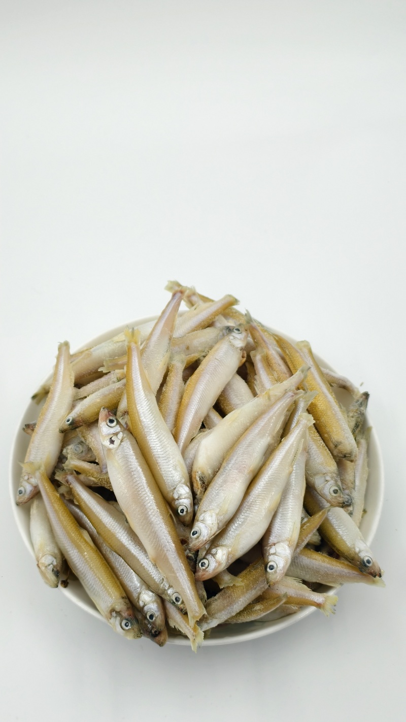 公鱼小龙鱼特色食材规格齐全一手货源对接批发零售酒店餐饮