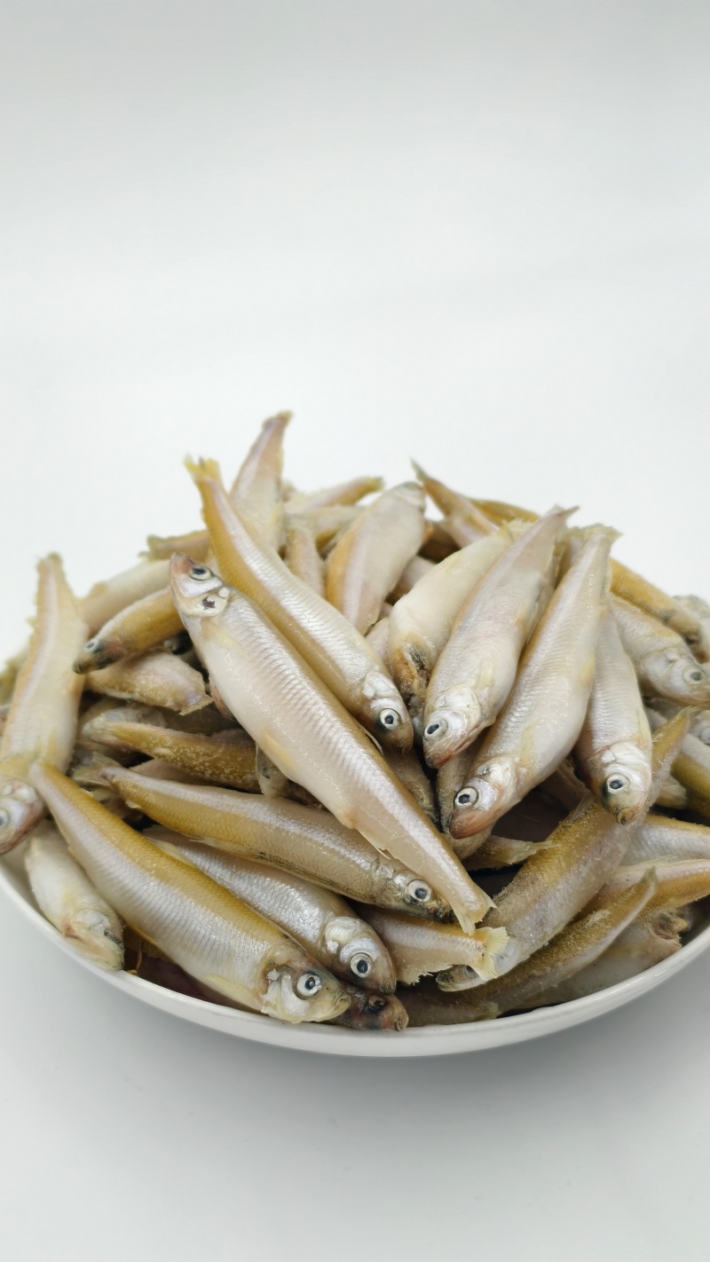 公鱼小龙鱼特色食材规格齐全一手货源对接批发零售酒店餐饮