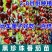 黑珍珠新品黑色番茄樱桃高产圣女果苗水果果季西红柿阳台四季盆栽