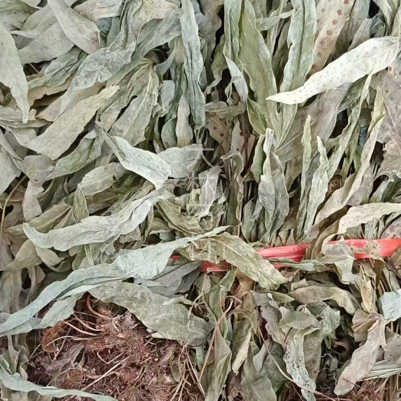 金鸡脚【包邮】三斤起发货可批量可零售量大从优
