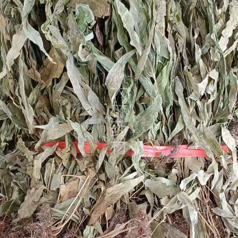 金鸡脚【包邮】三斤起发货可批量可零售量大从优