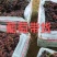 沙尔葡萄，含糖二十，口感香甜