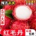 【顺丰包邮】泰国品种红毛丹新鲜毛荔枝1-5斤当季水果整箱批发