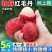 【顺丰包邮】泰国品种红毛丹新鲜毛荔枝1-5斤当季水果整箱批发