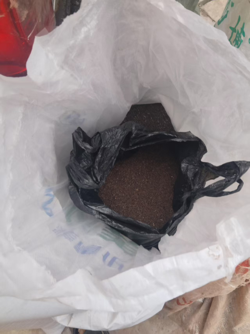 车前子批发大量有货全国可发欢迎老板咨询
