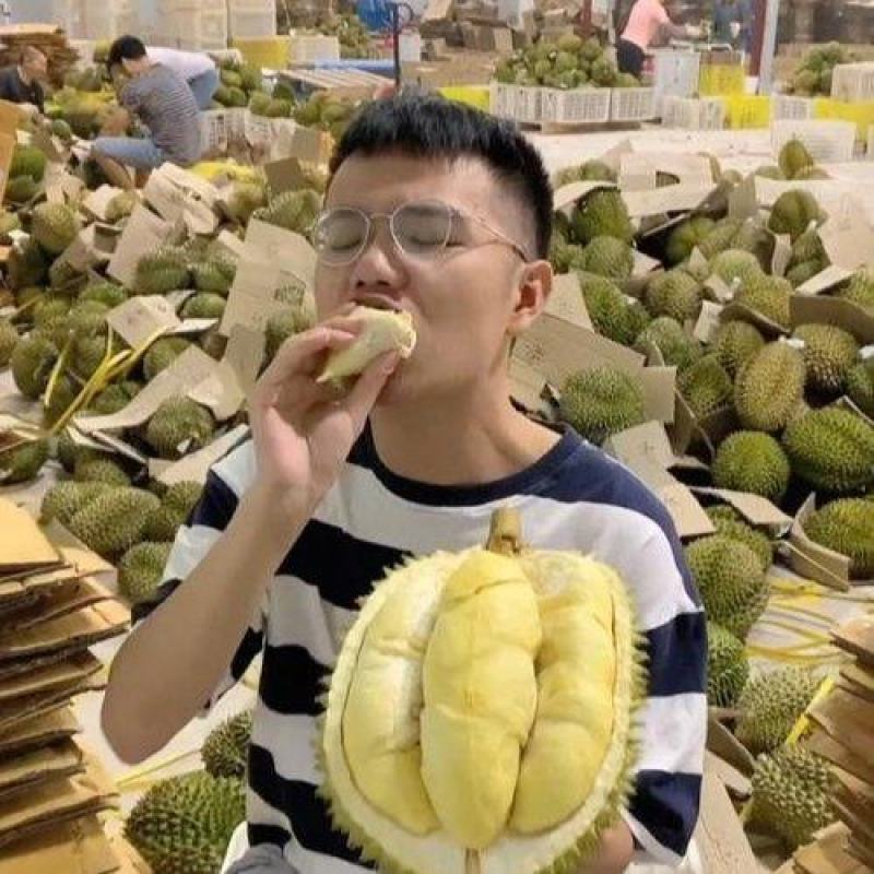 金枕榴莲产地直销一手价格，A果保5房坏果包赔，货到付款