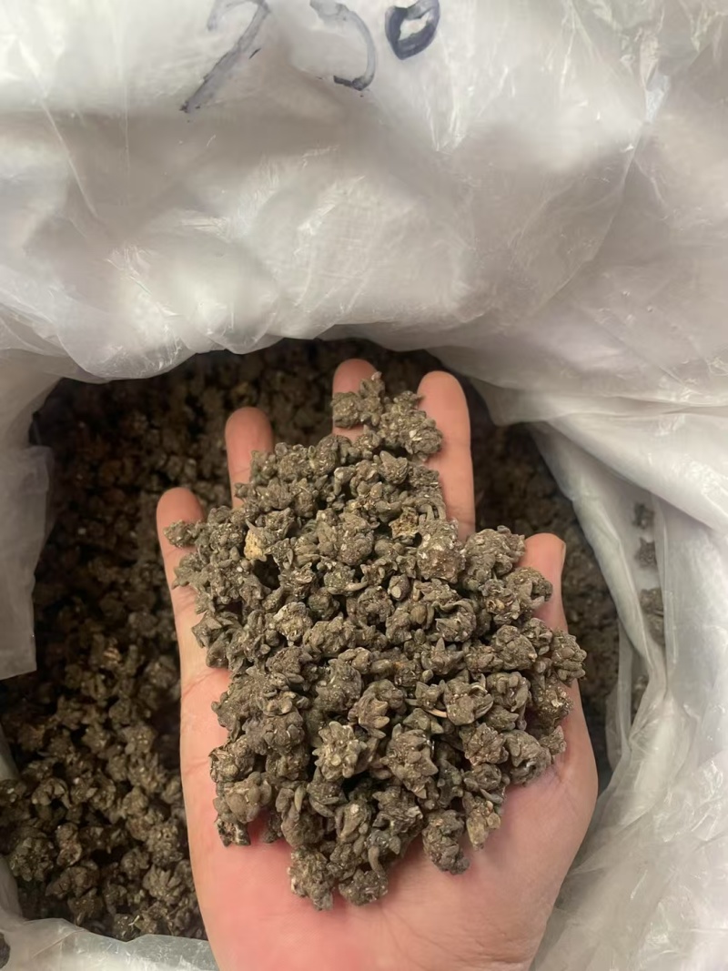 猫爪草中药中药材野生新鲜干货抓草颗粒水洗正宗包