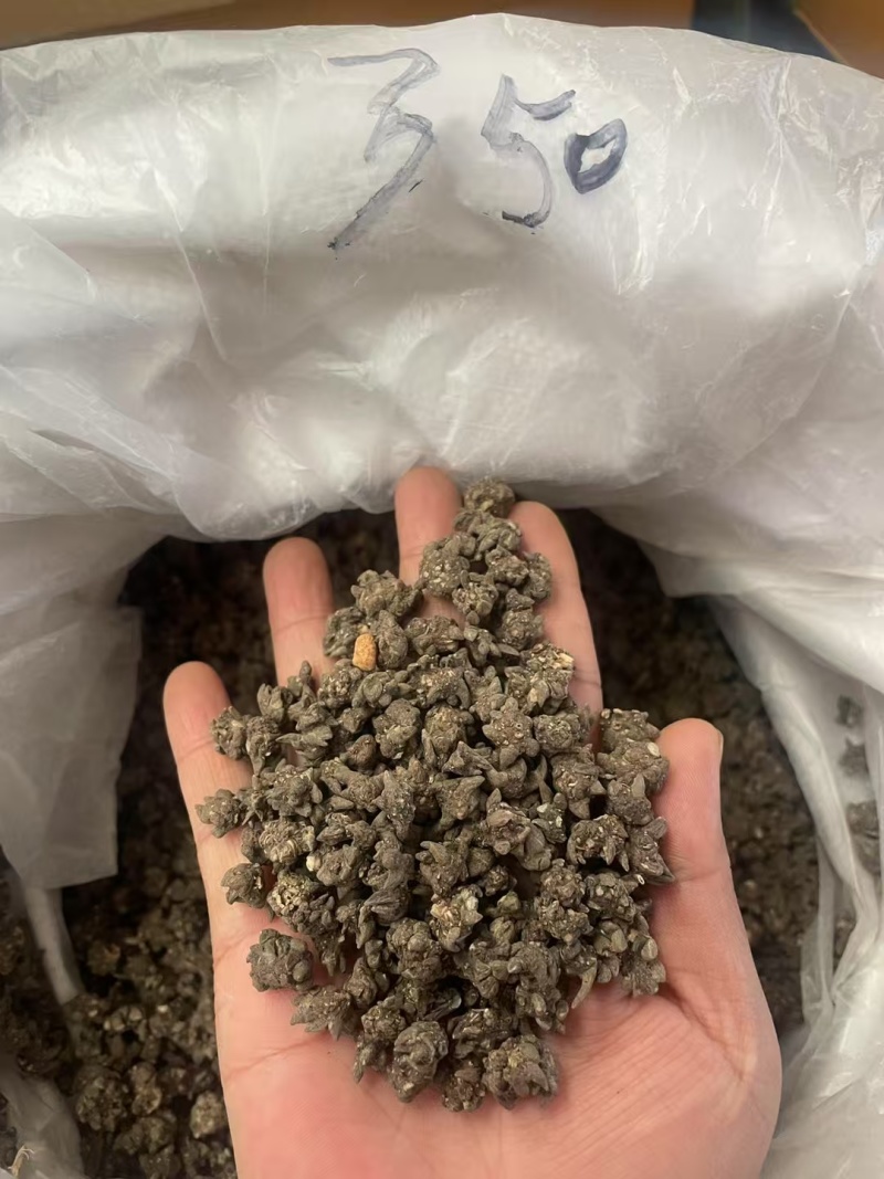 猫爪草中药中药材野生新鲜干货抓草颗粒水洗正宗包