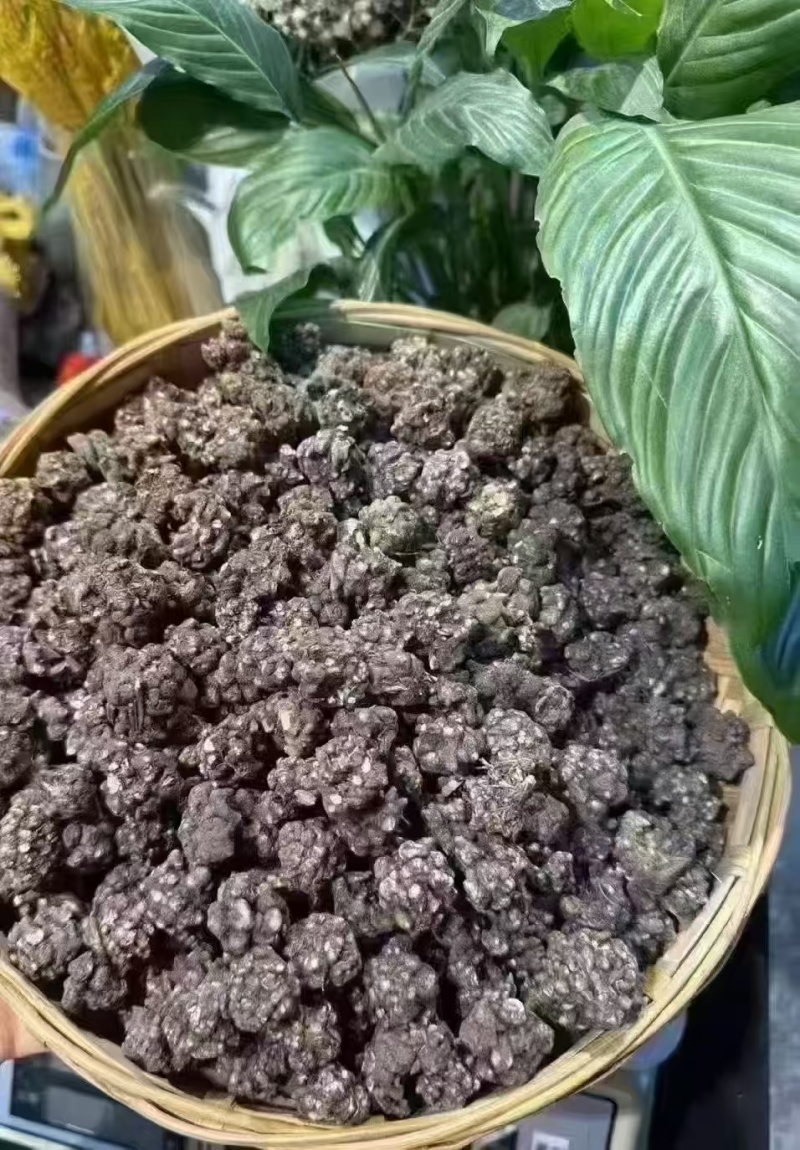 猫爪草中药中药材野生新鲜干货抓草颗粒水洗正宗包