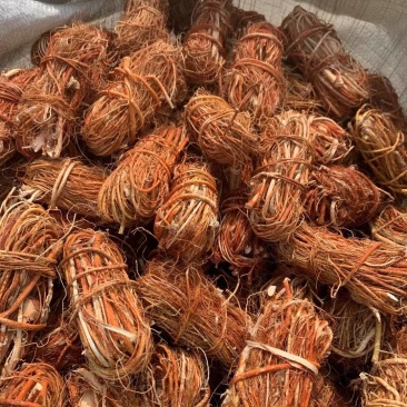 五指毛桃扎把小节包心少手工好十年品质广州店