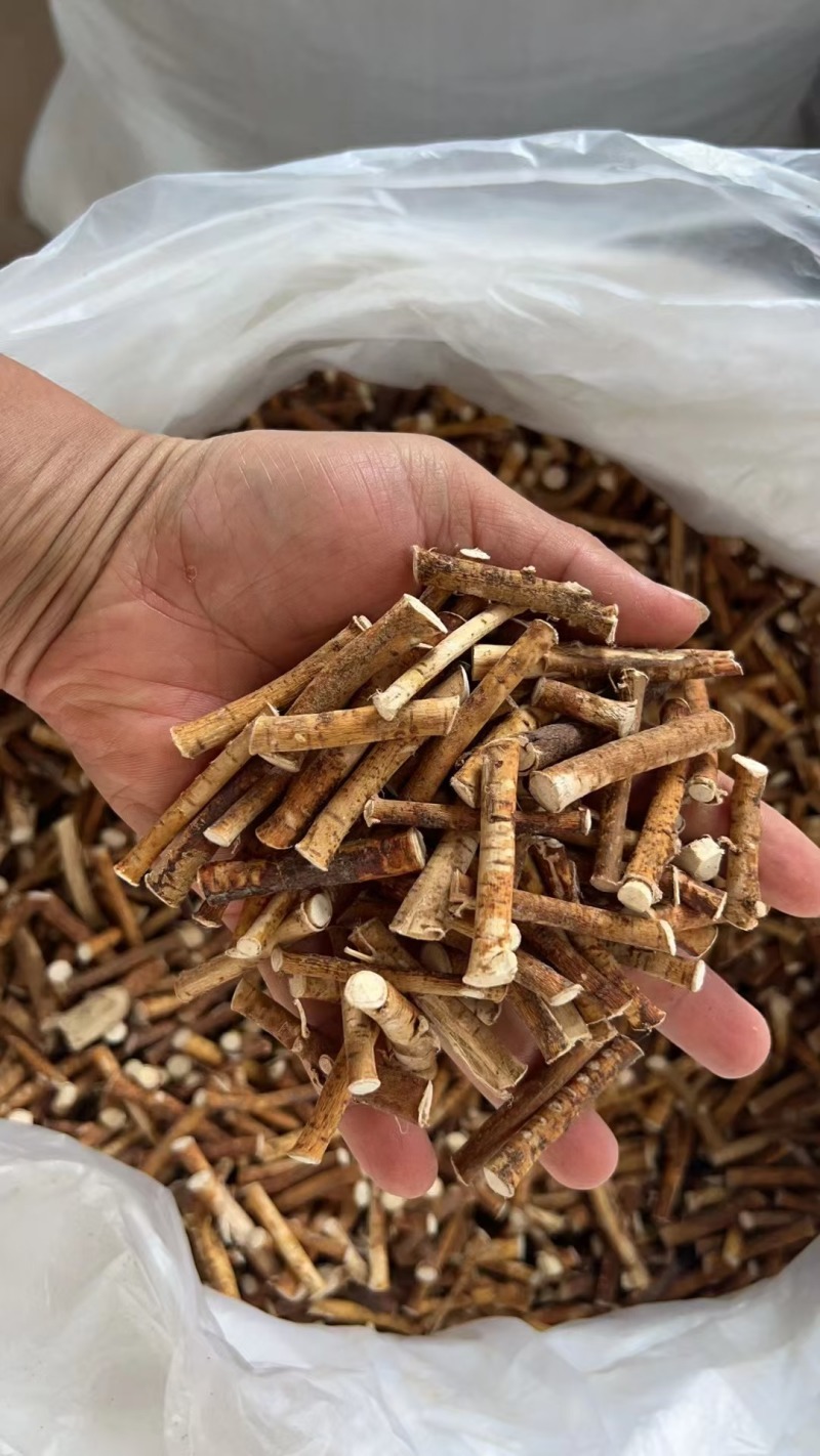 五指毛桃扎把小节包心少手工好十年品质广州店