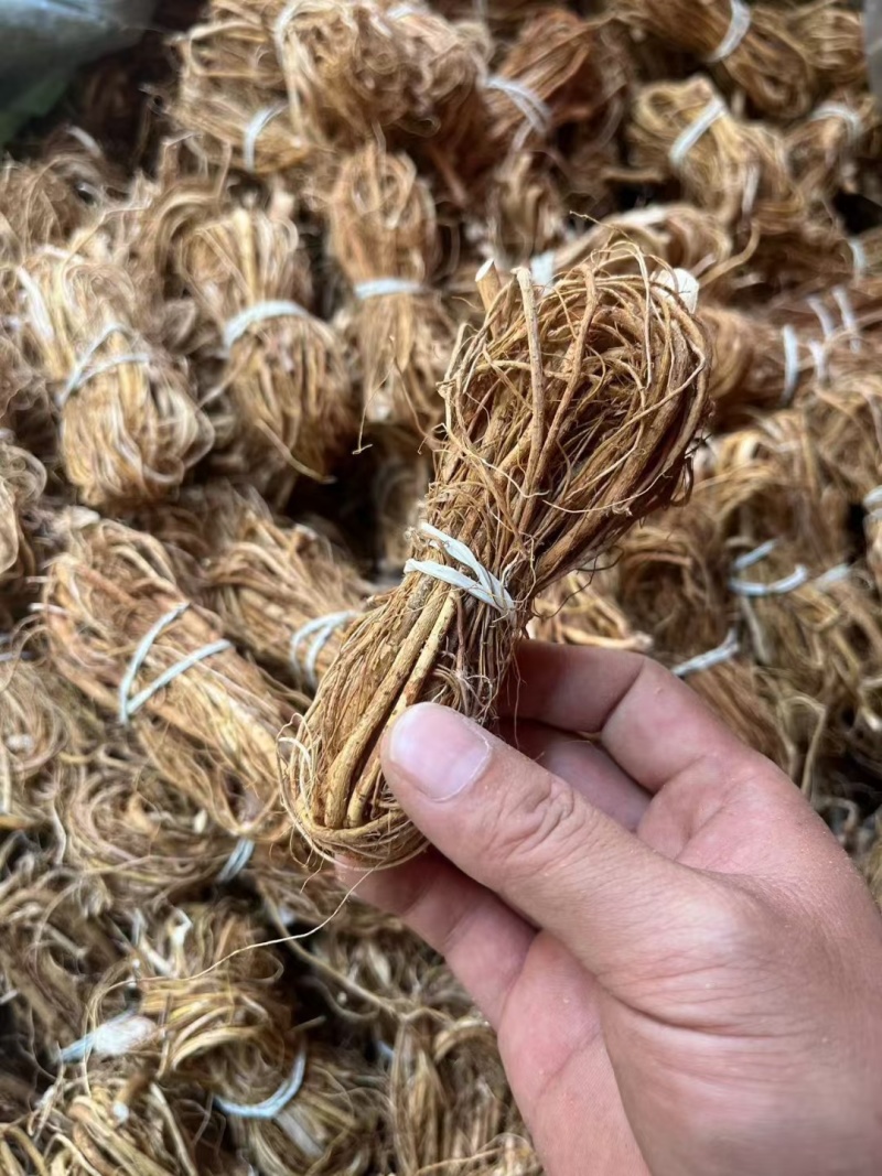 五指毛桃扎把小节包心少手工好十年品质广州店
