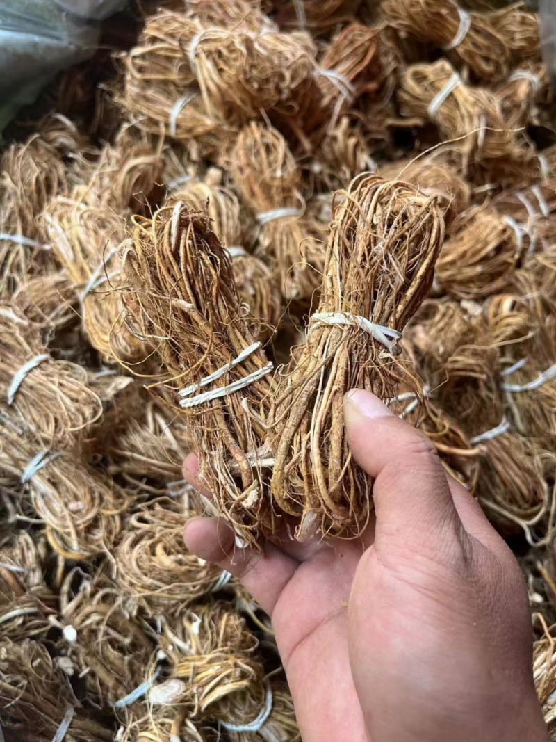五指毛桃扎把小节包心少手工好十年品质广州店