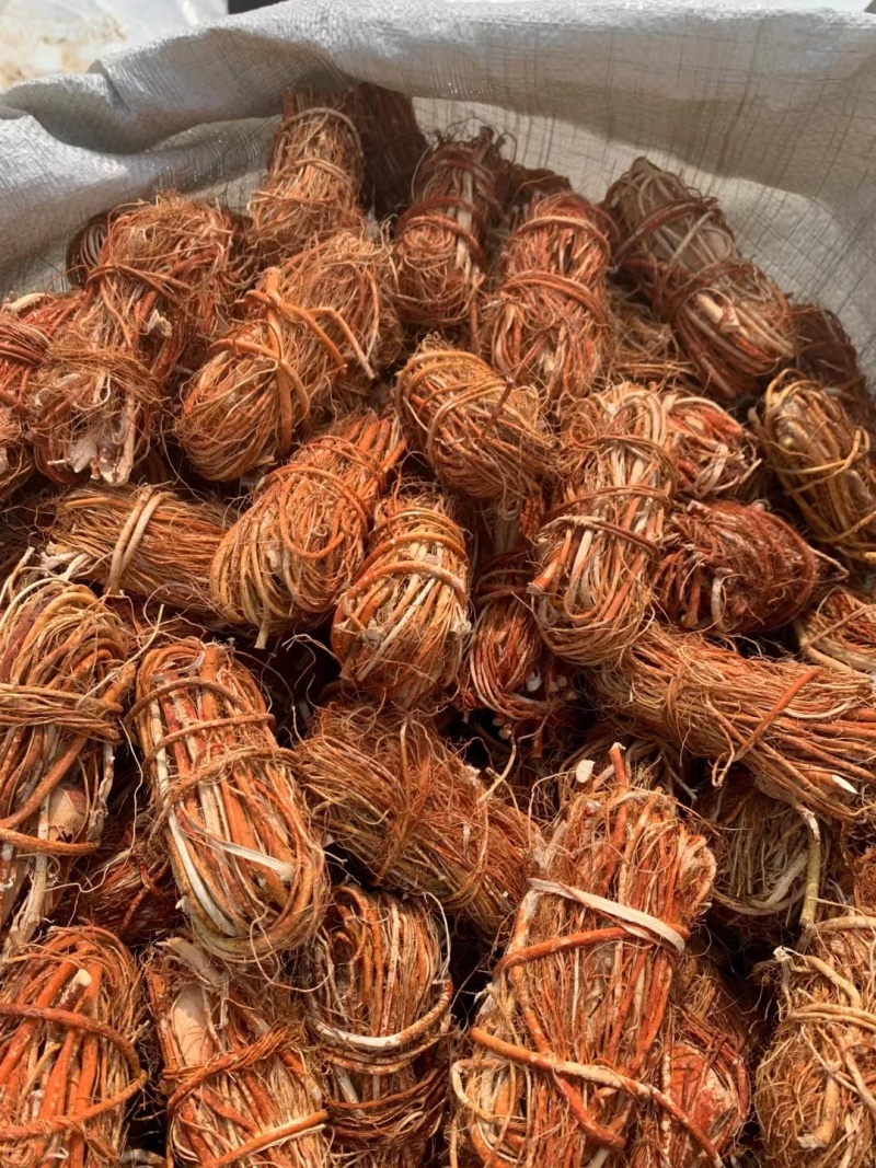 五指毛桃扎把小节包心少手工好十年品质广州店