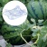 农用西瓜托盘支撑架子哈密瓜南瓜瓜果种植防腐烂塑料