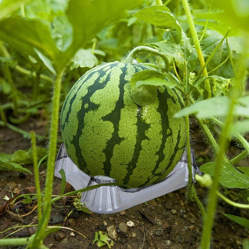 农用西瓜托盘支撑架子哈密瓜南瓜瓜果种植防腐烂塑料