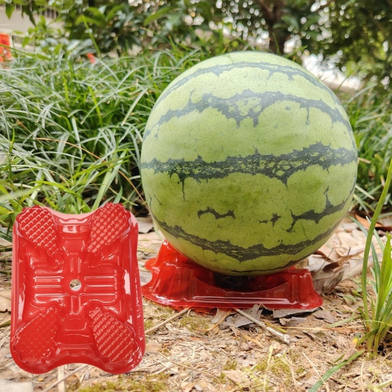 农用西瓜托盘支撑架子哈密瓜南瓜瓜果种植防腐烂塑料
