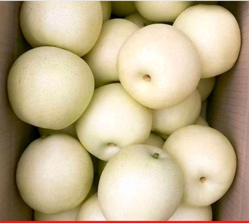 皇冠梨新鲜水果皮薄多汁皇冠梨3/5/10斤批发整箱梨