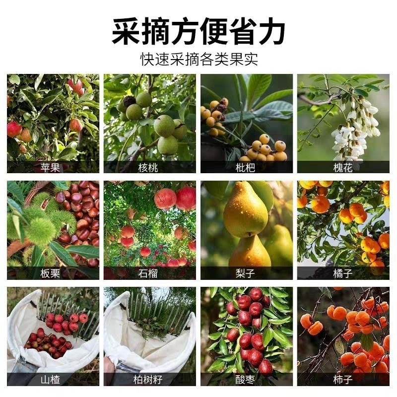 摘酸枣专用工具摘柏树籽大枣山楂茶油果女贞子白果